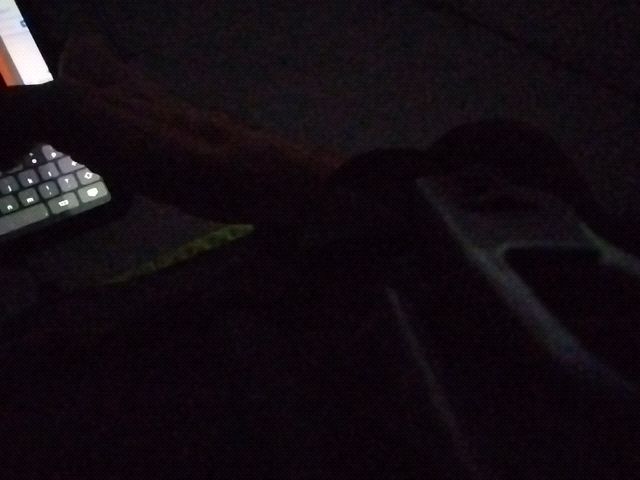 Looki L1 photo