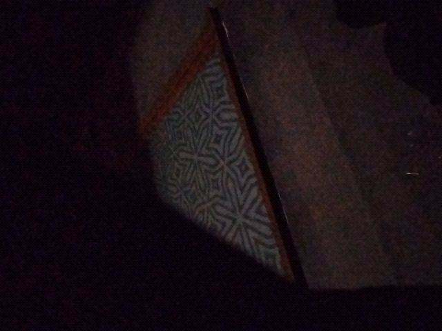 Looki L1 photo