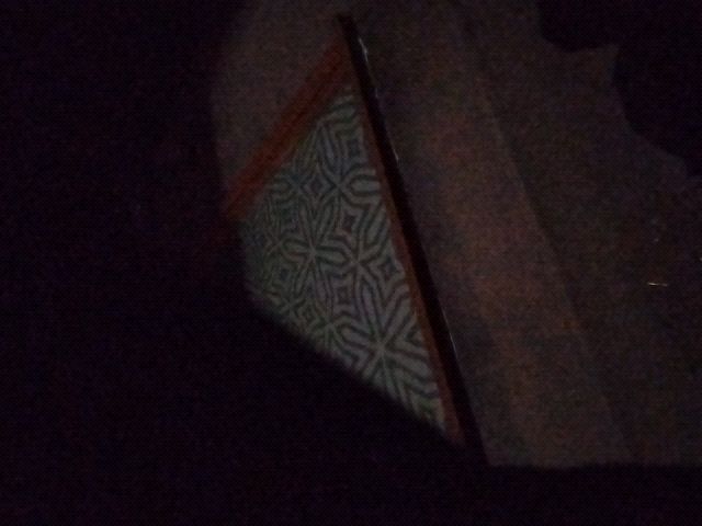 Looki L1 photo