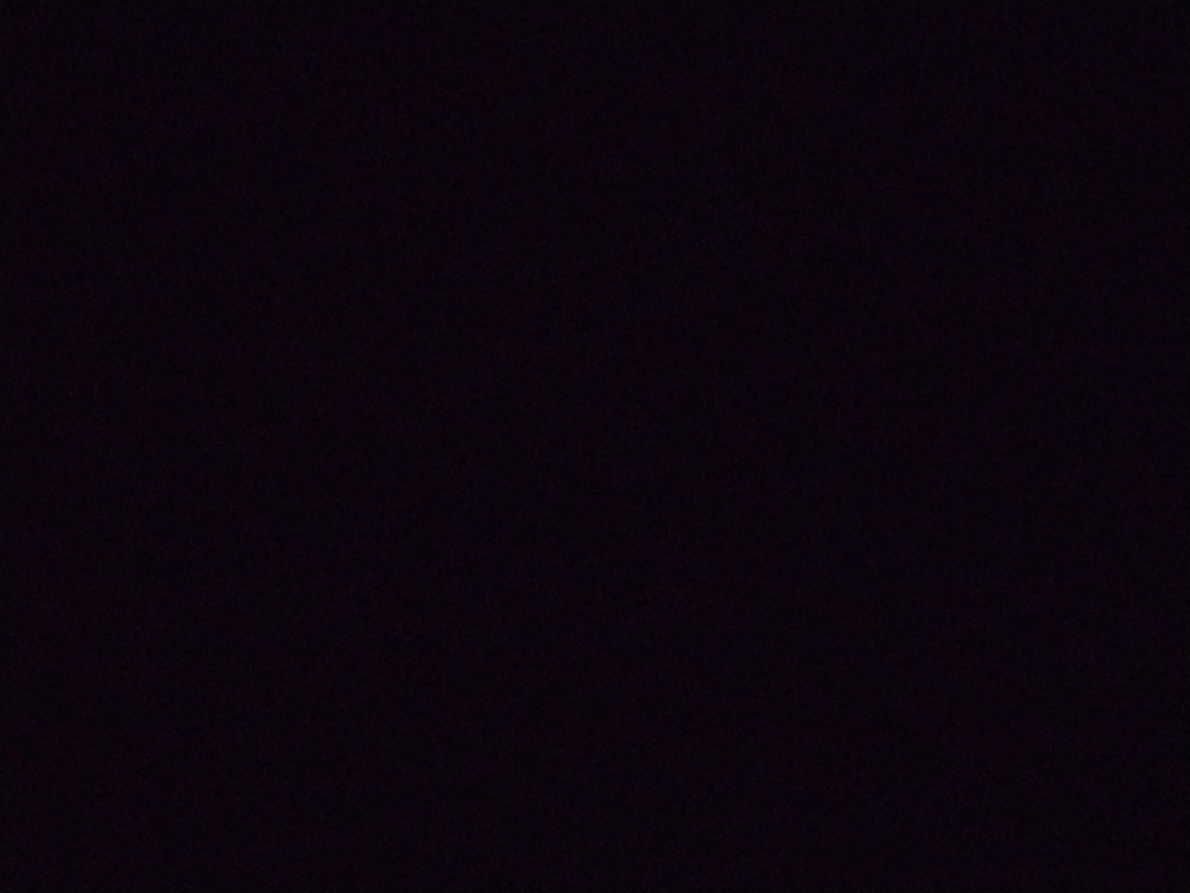Looki L1 photo