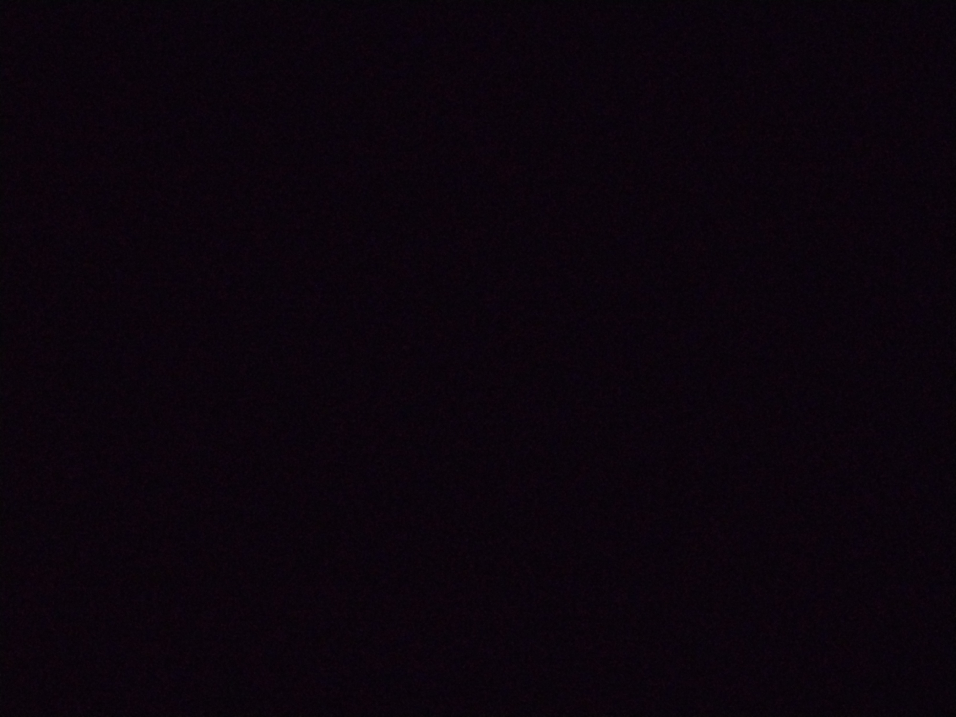 Looki L1 photo
