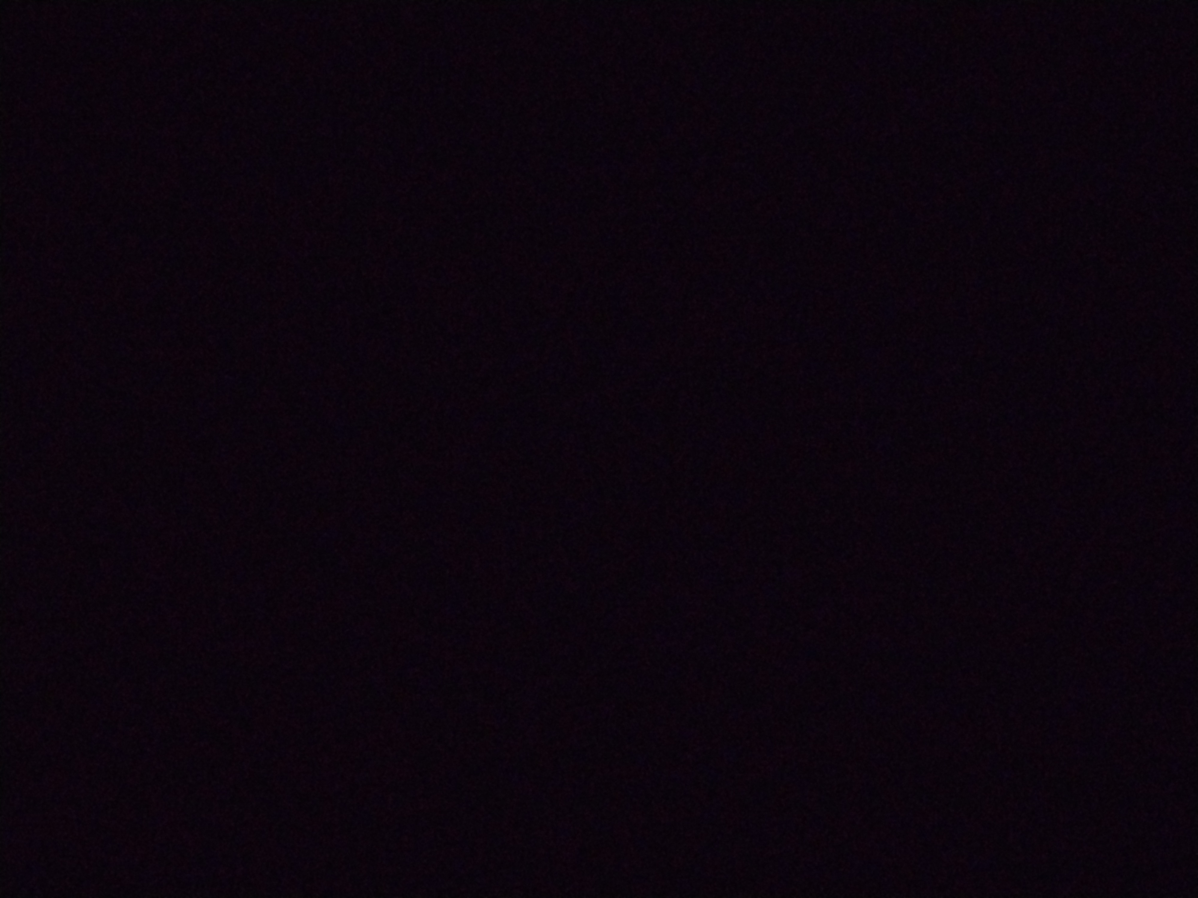 Looki L1 photo
