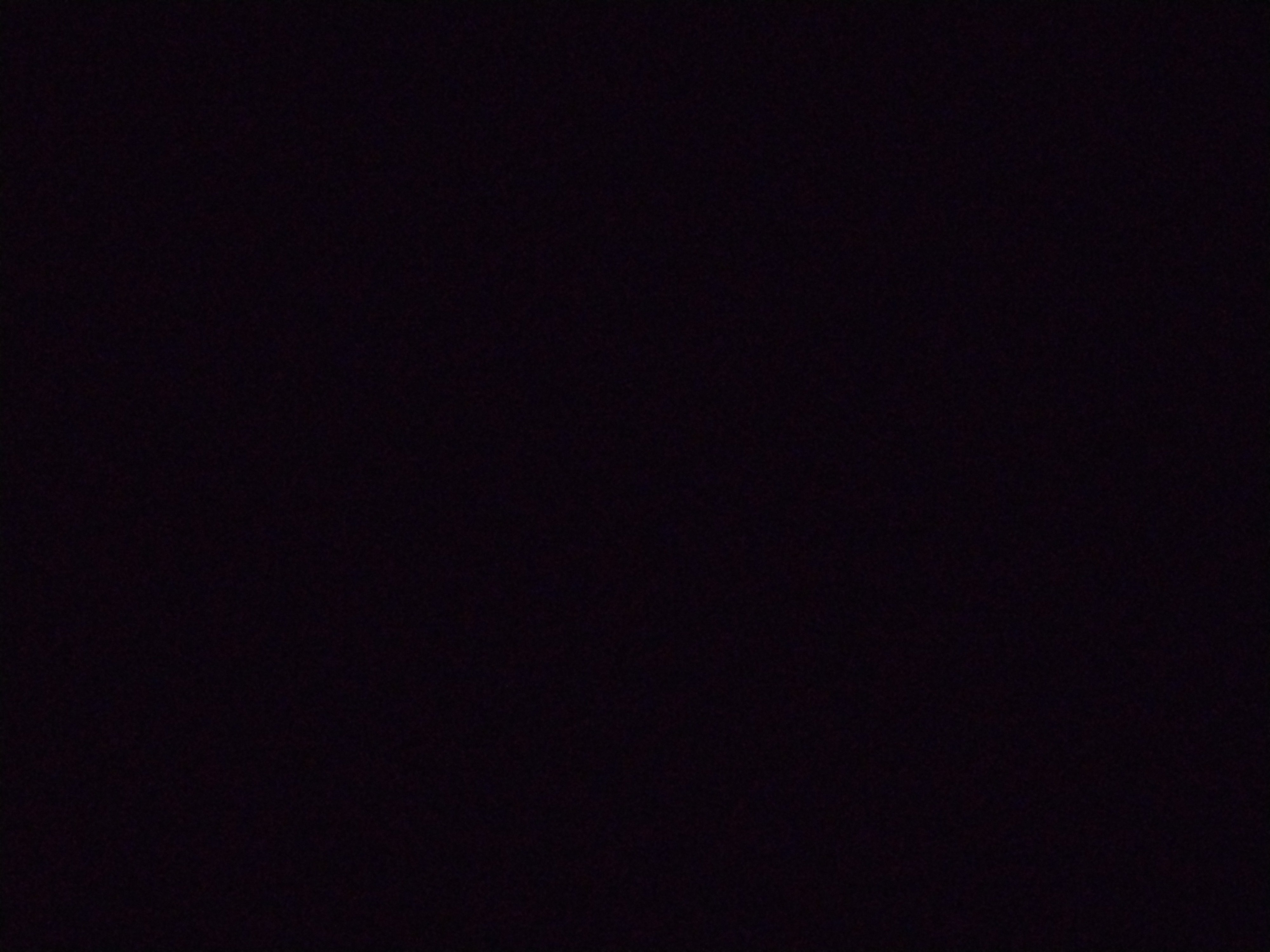 Looki L1 photo
