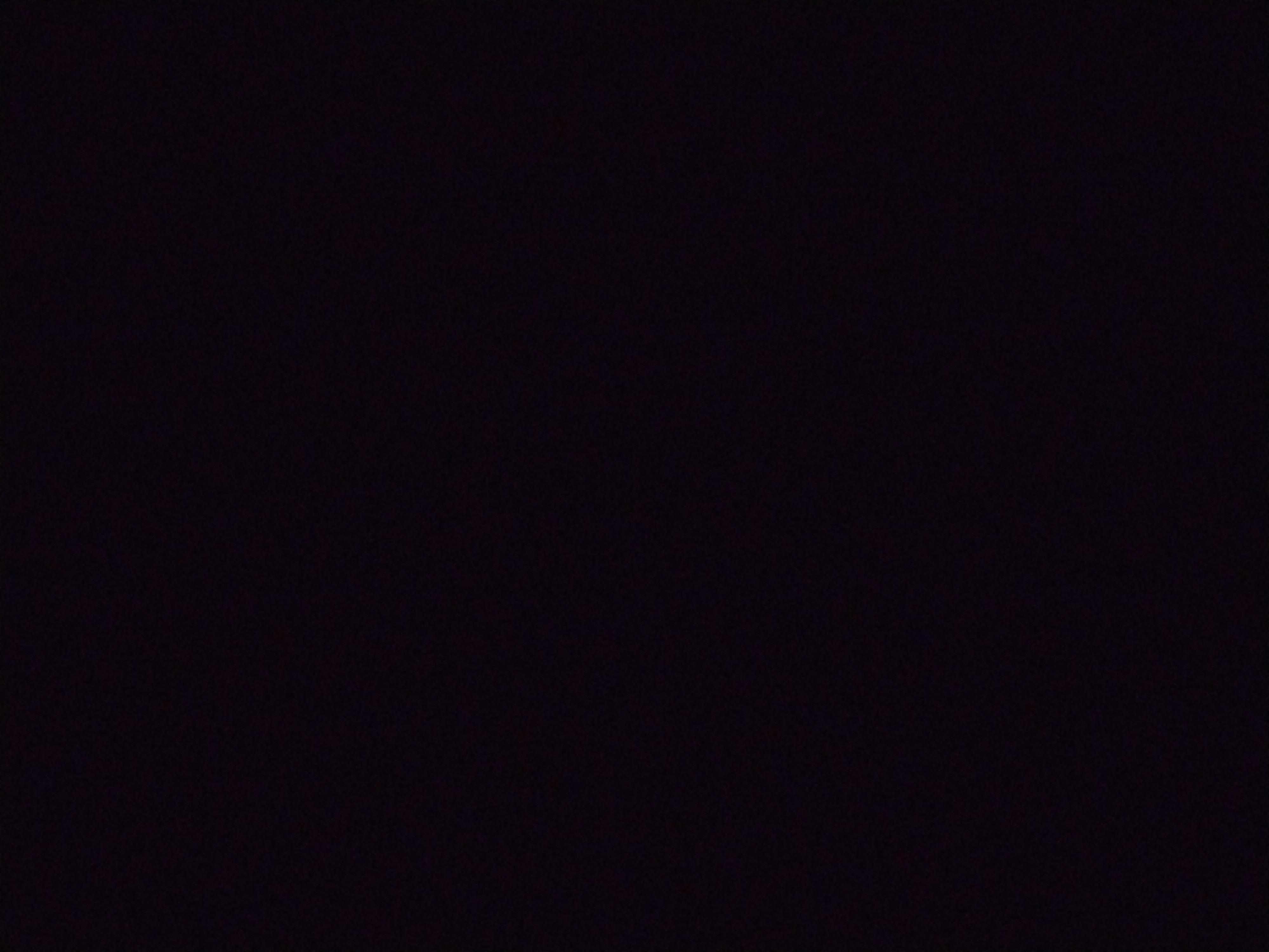 Looki L1 photo