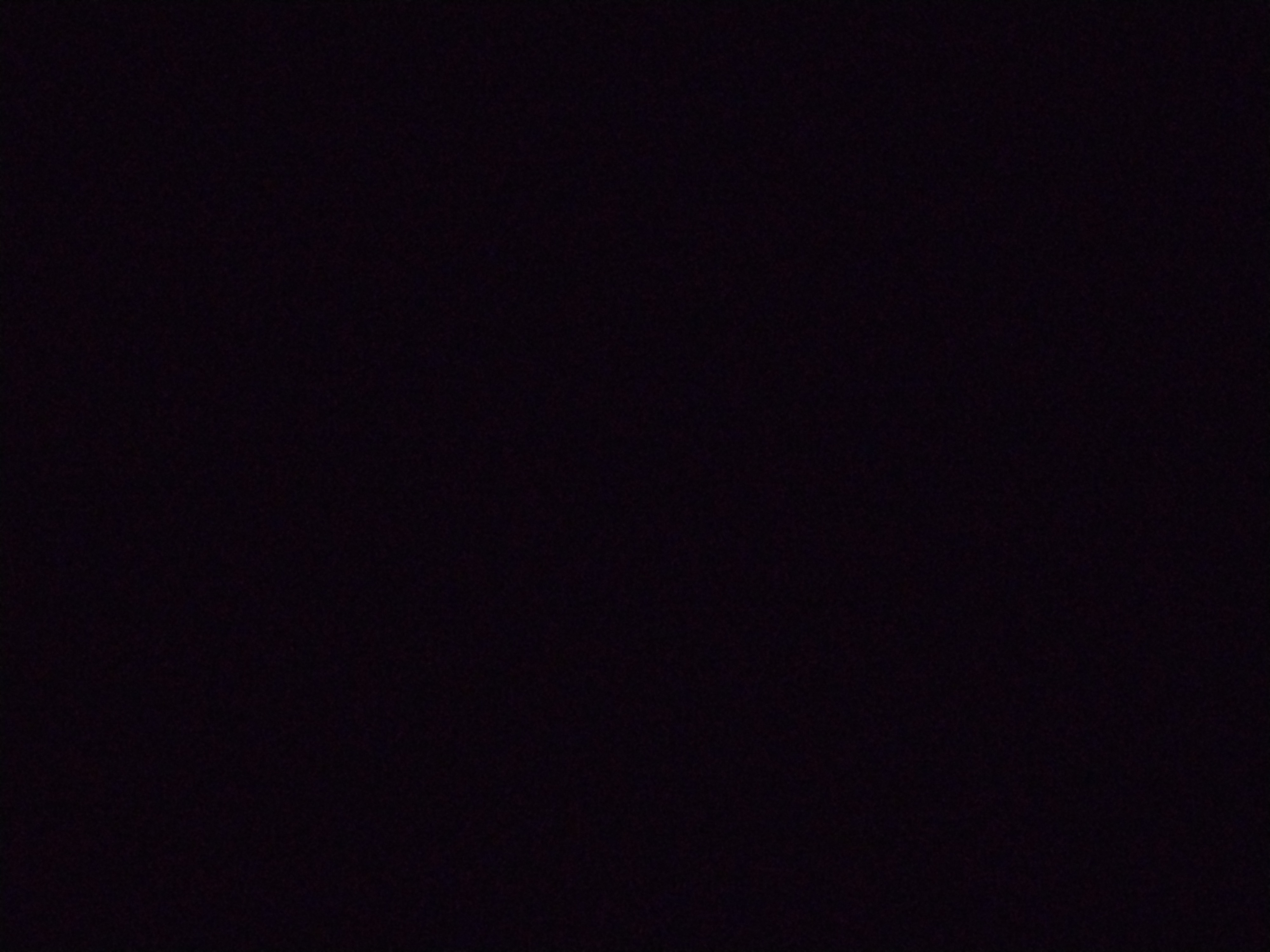 Looki L1 photo