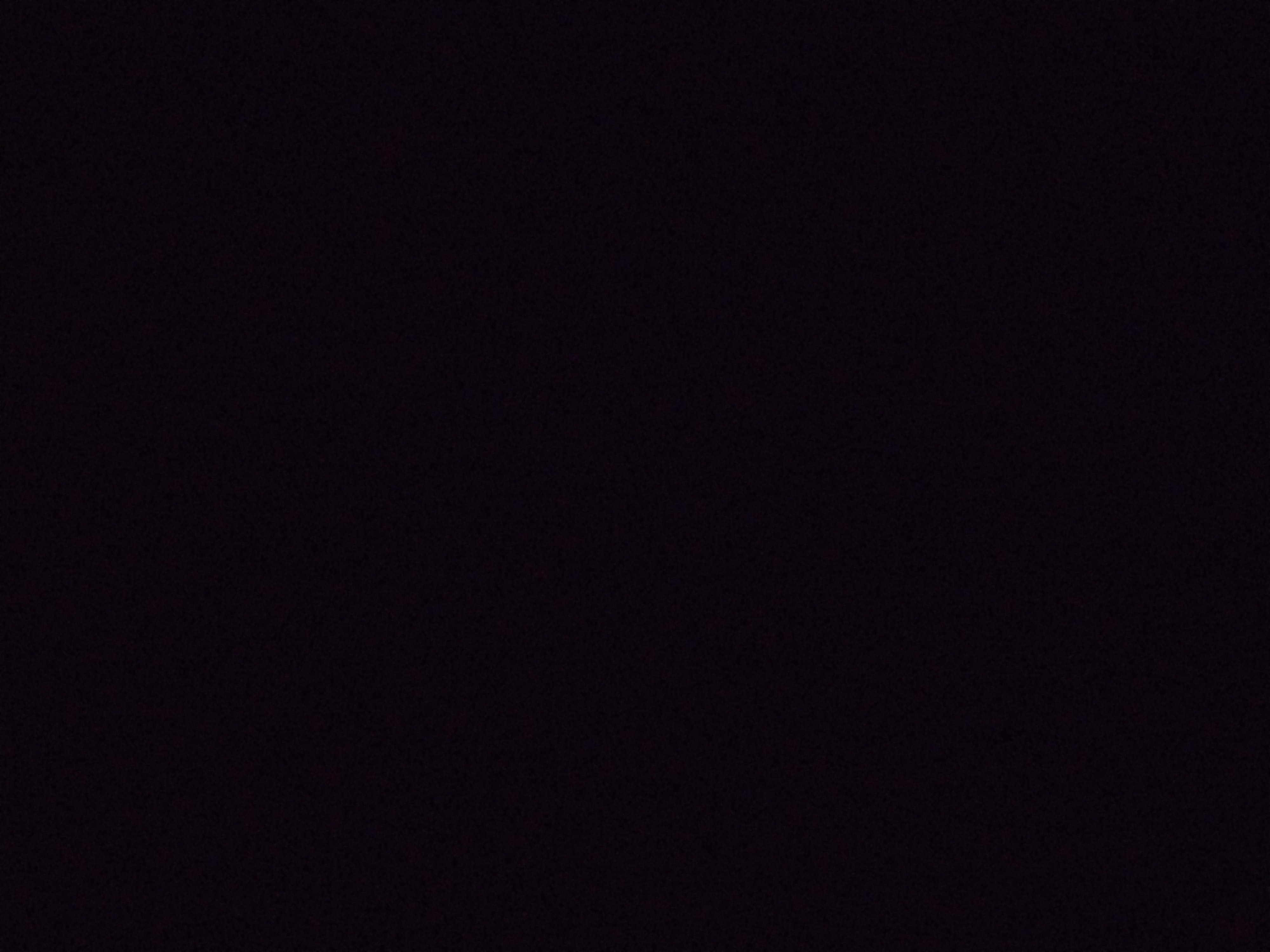 Looki L1 photo