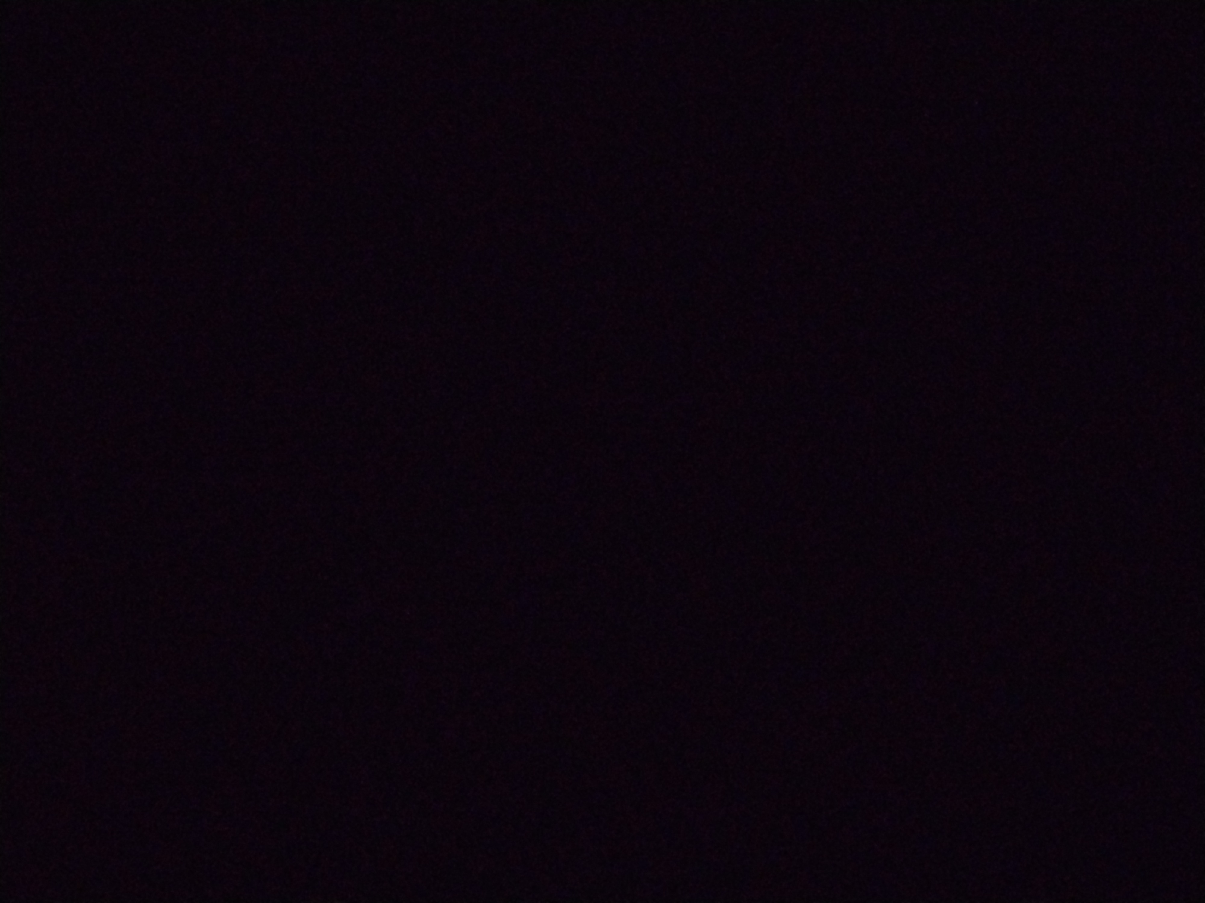 Looki L1 photo