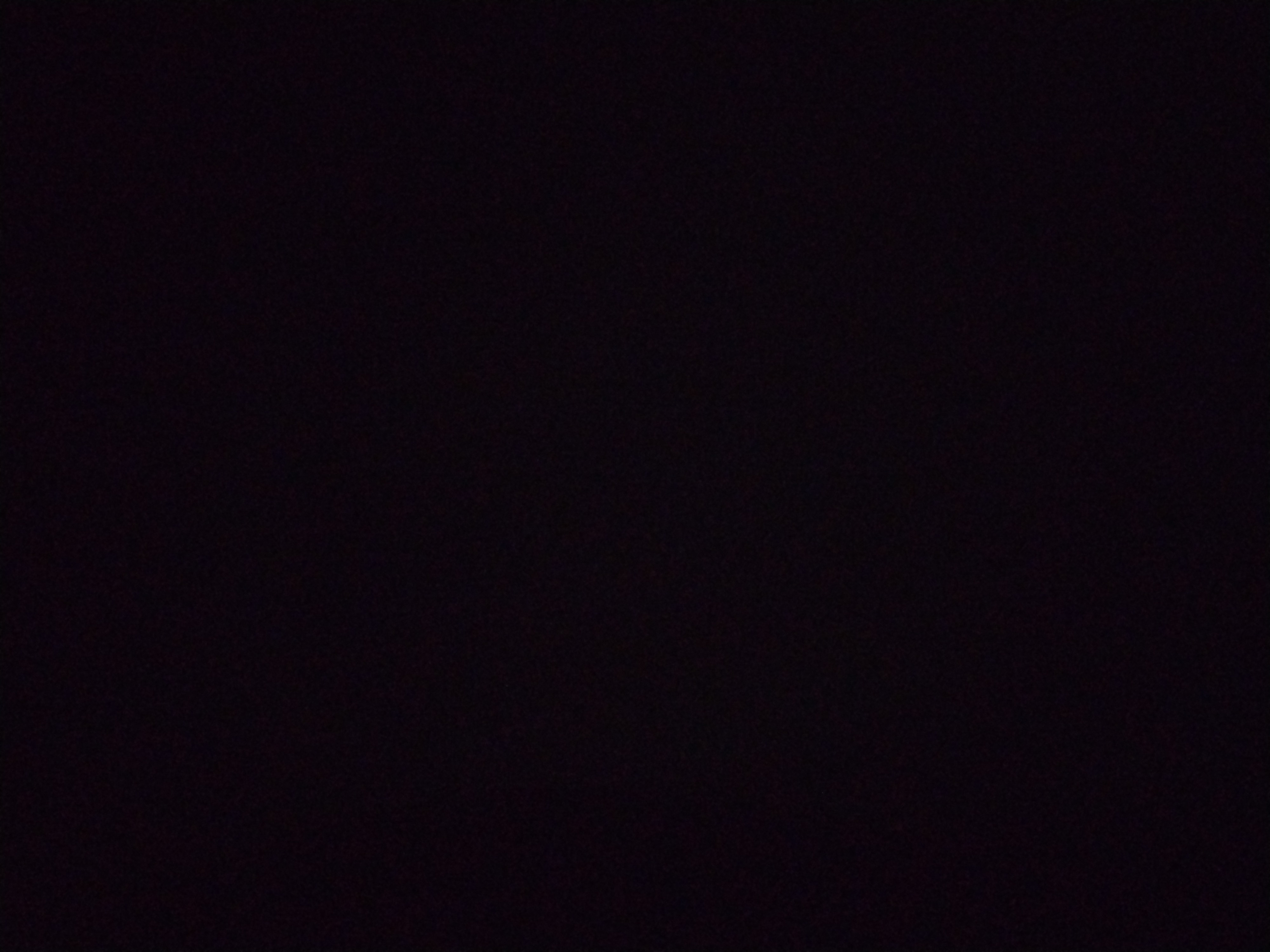 Looki L1 photo