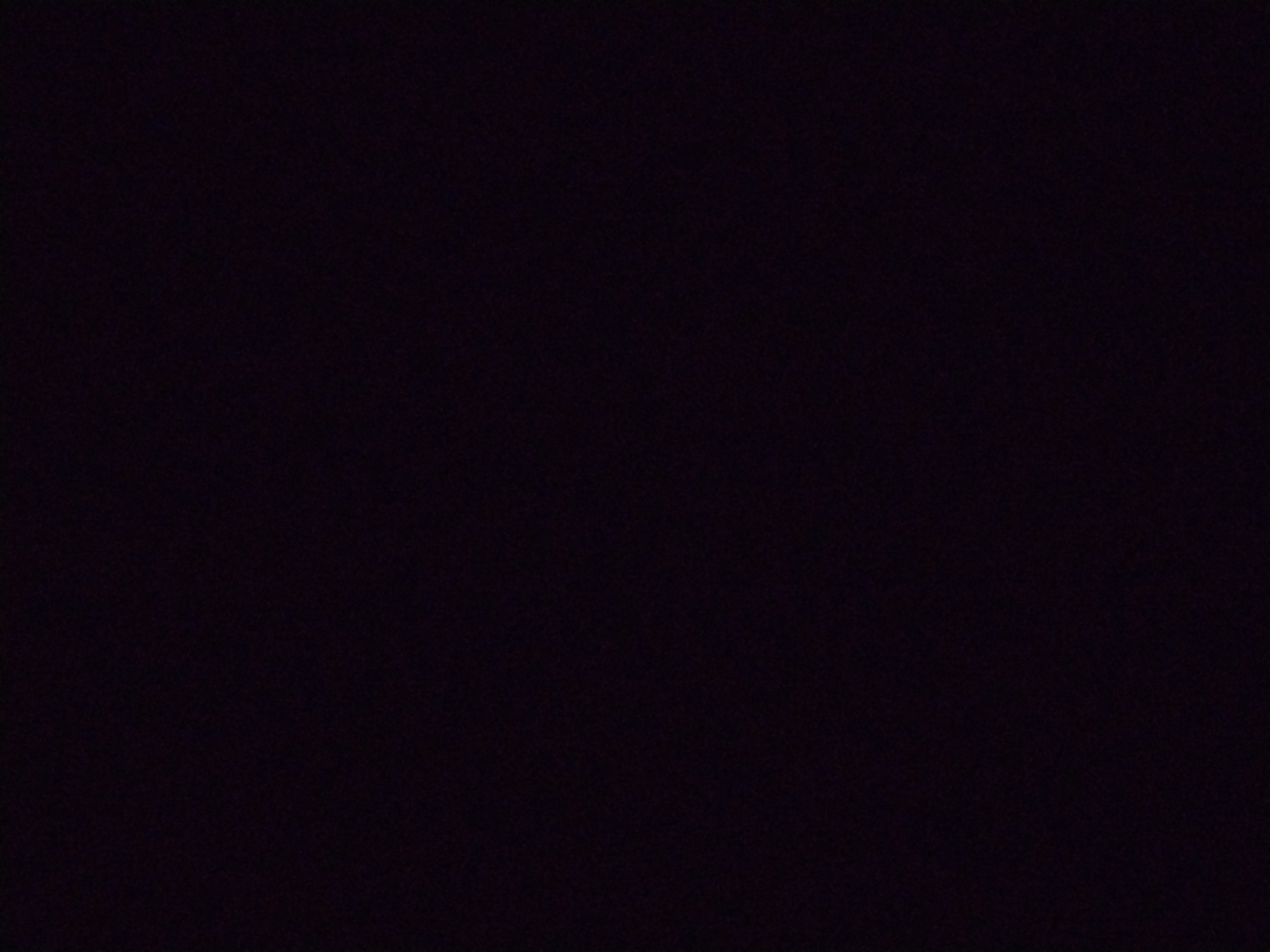 Looki L1 photo