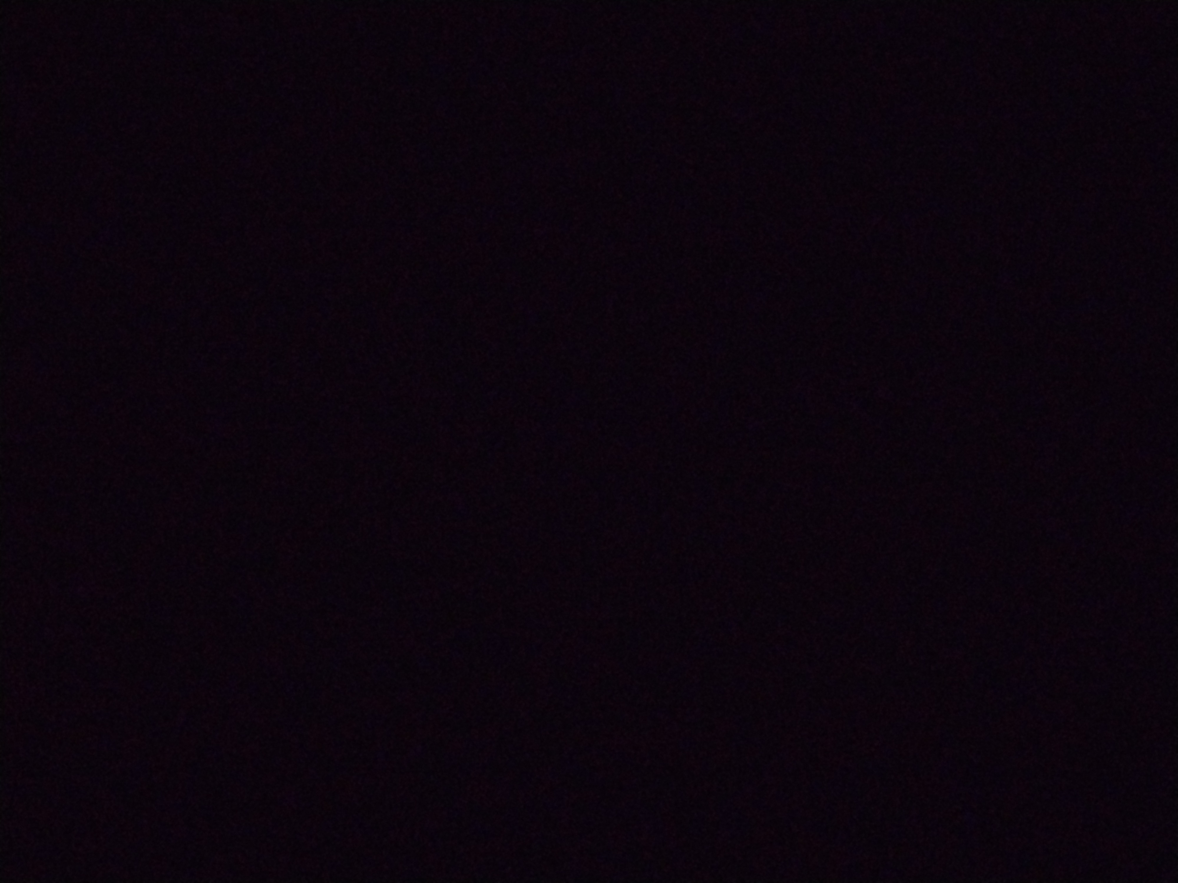 Looki L1 photo