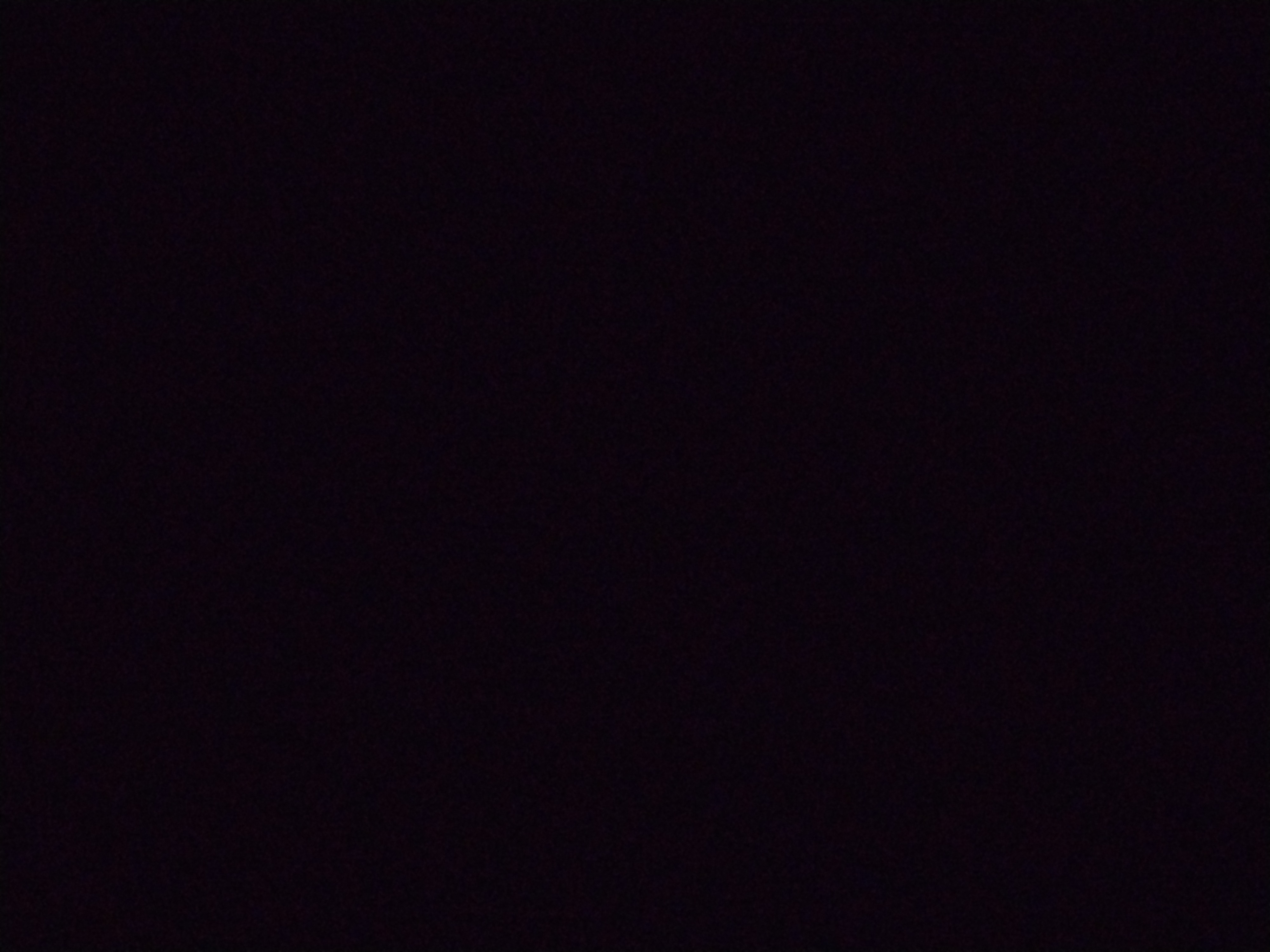Looki L1 photo