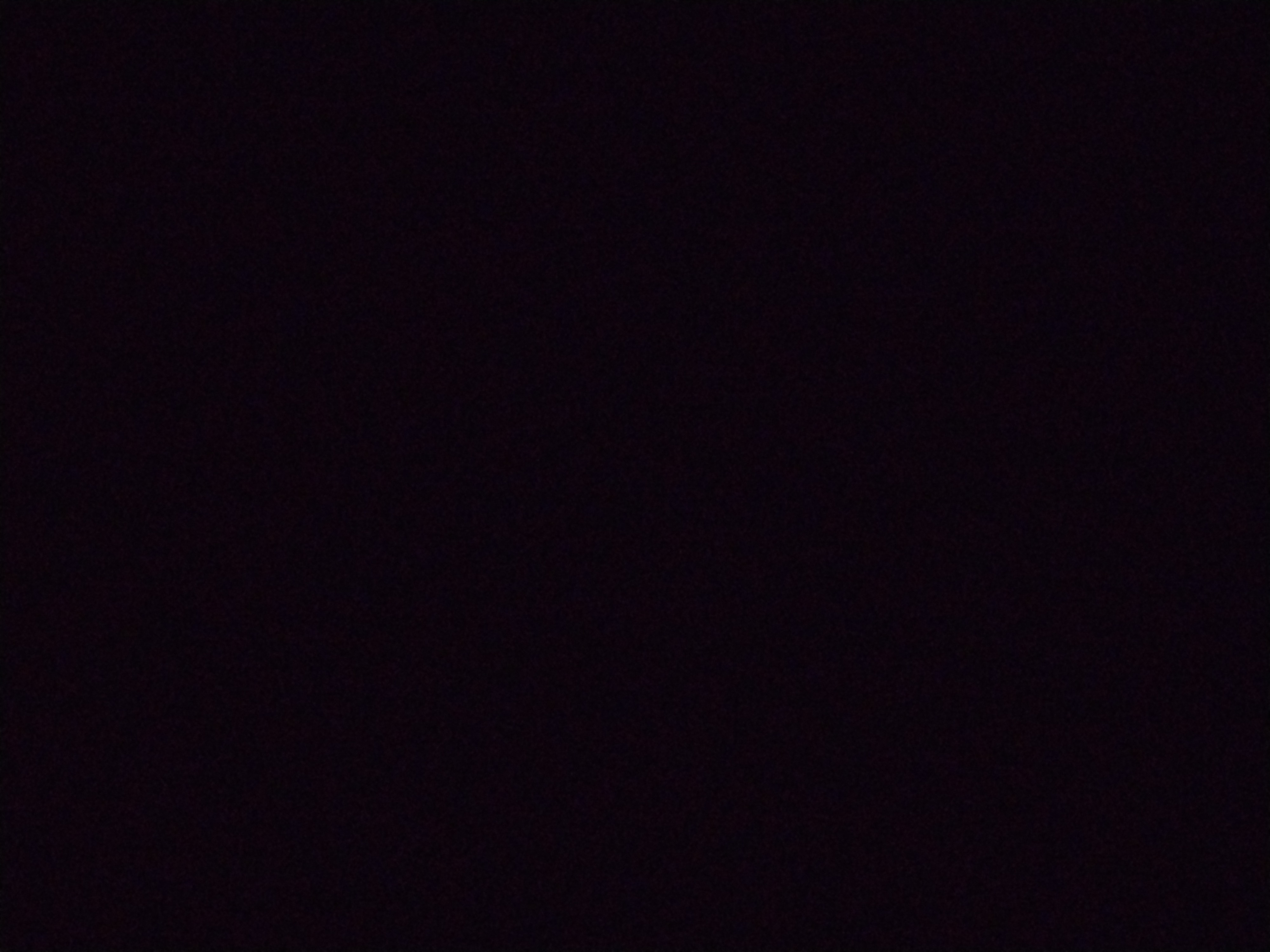 Looki L1 photo