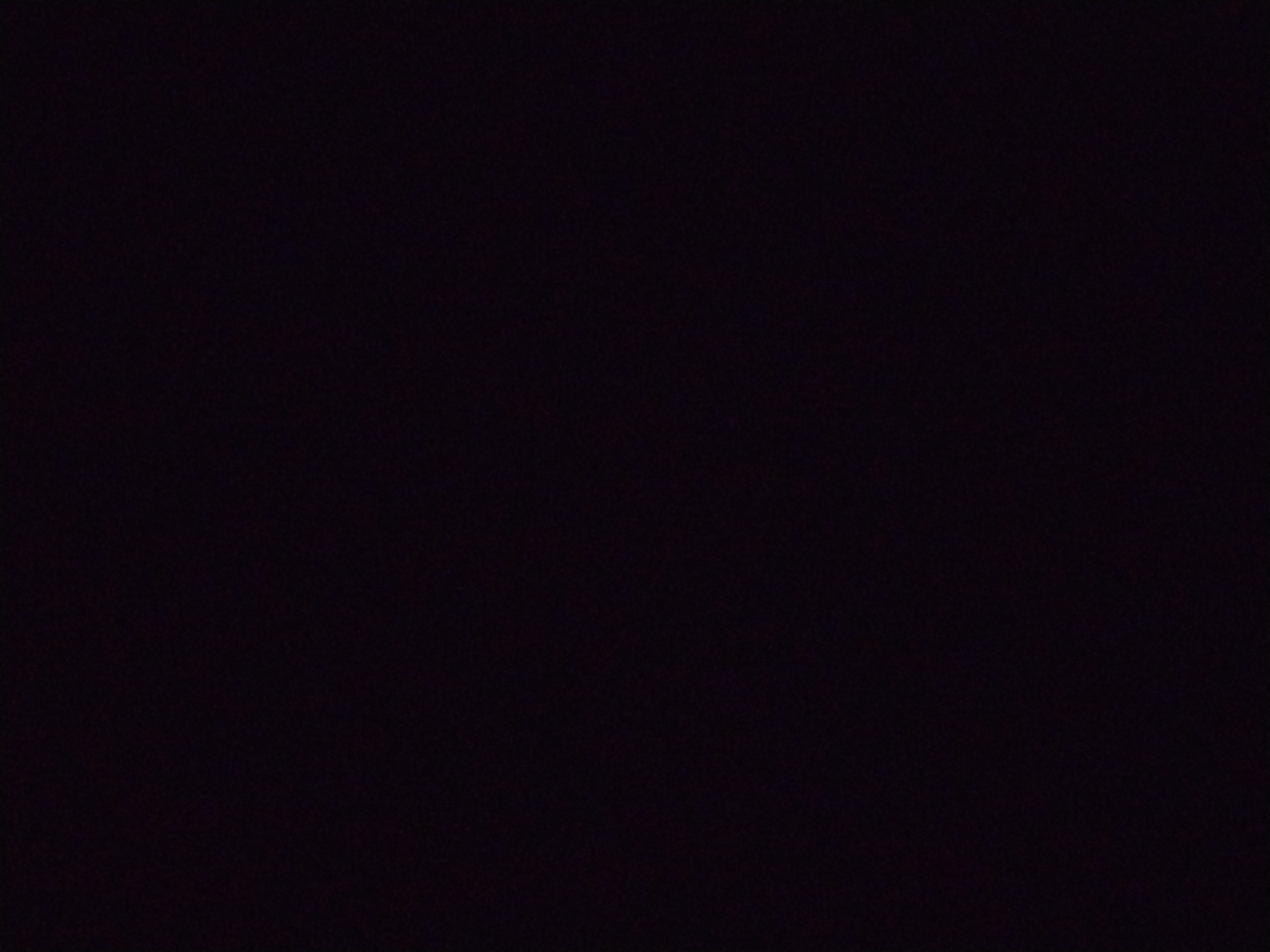 Looki L1 photo