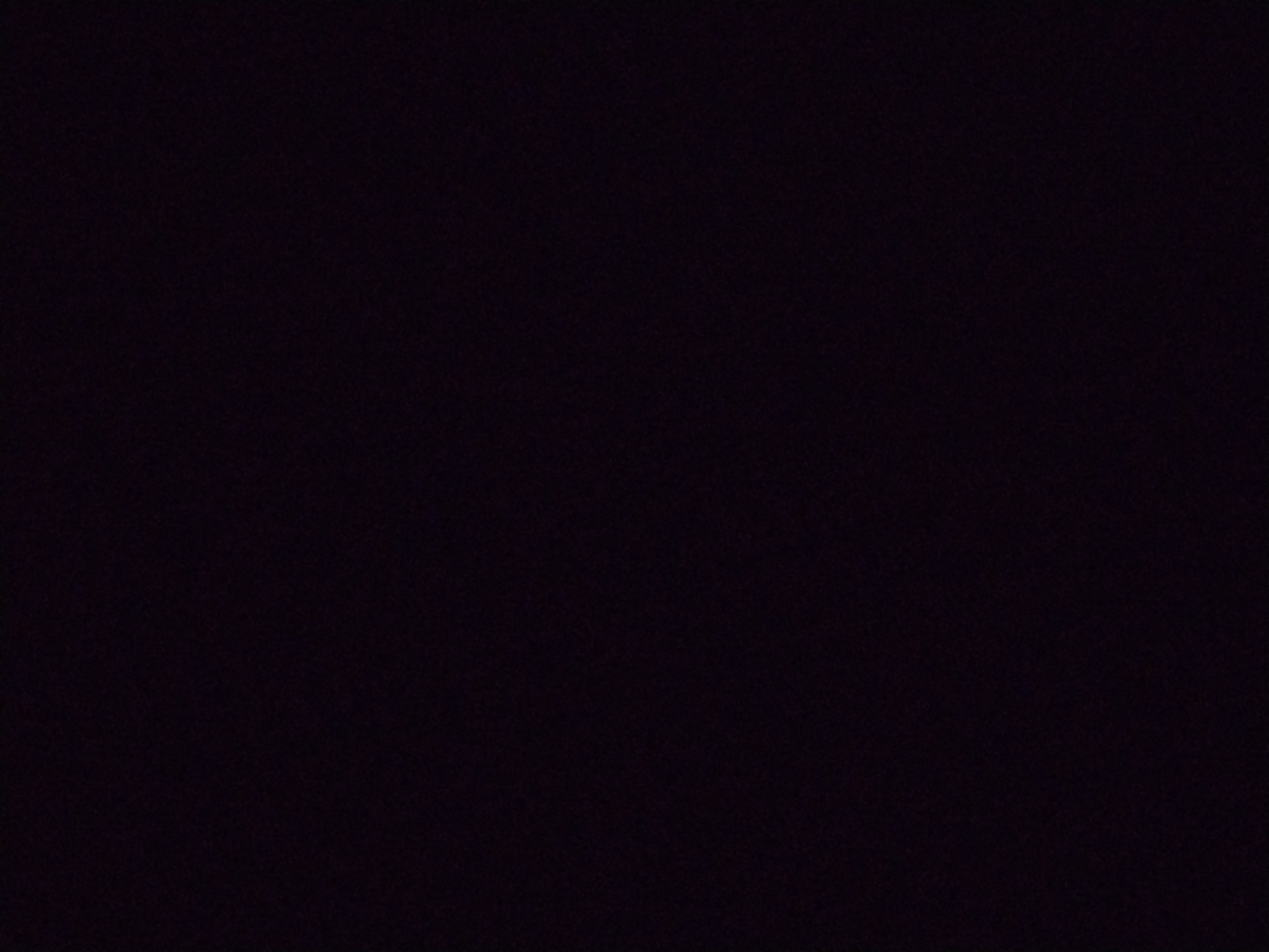 Looki L1 photo