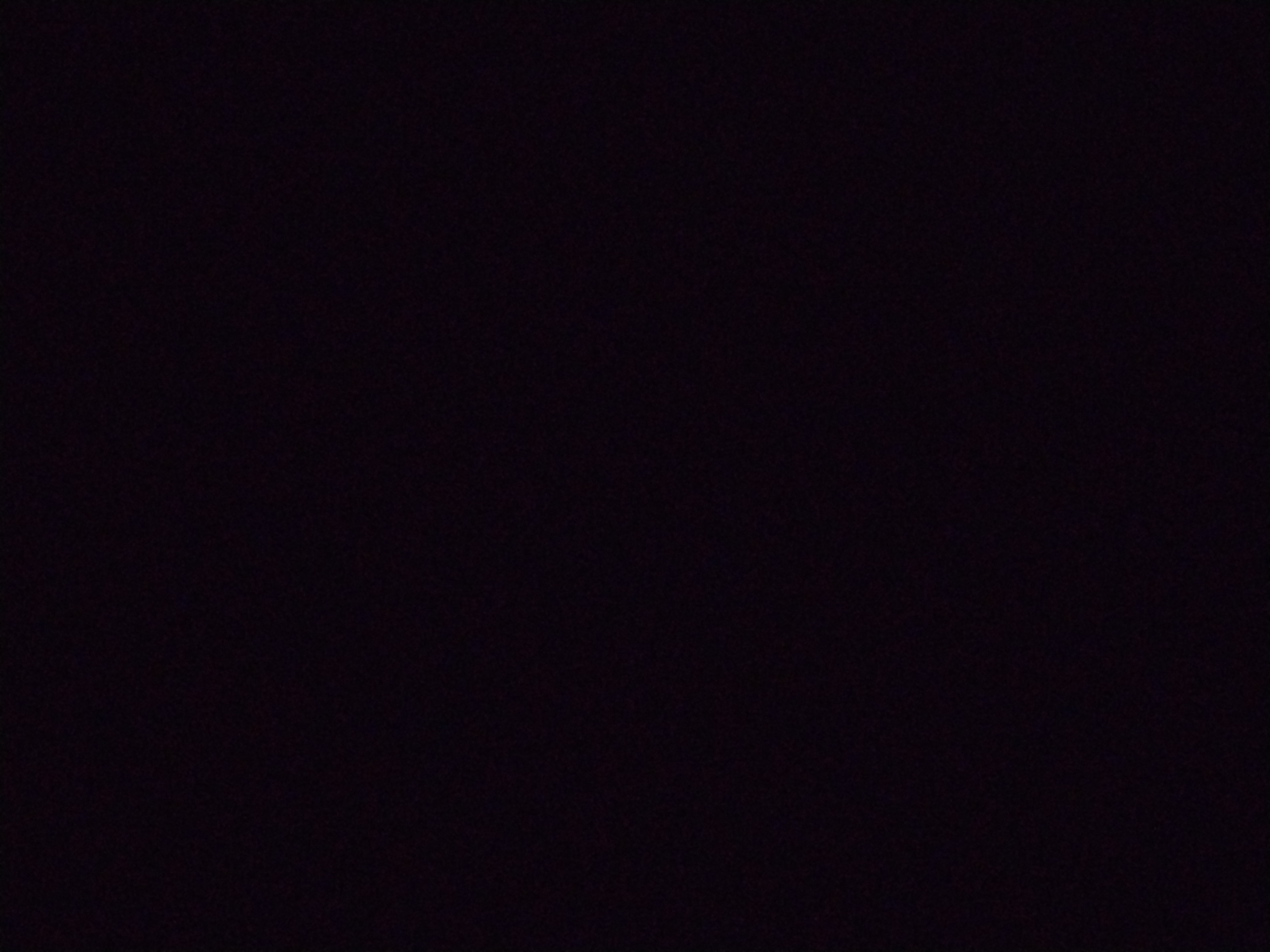 Looki L1 photo