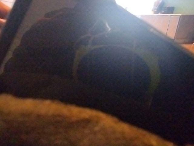 Looki L1 photo
