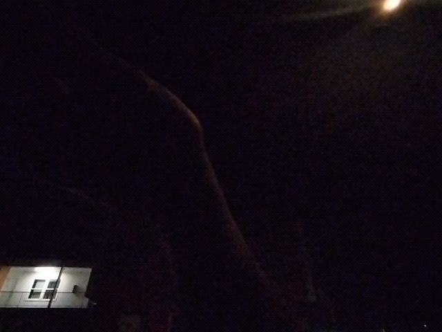Looki L1 photo