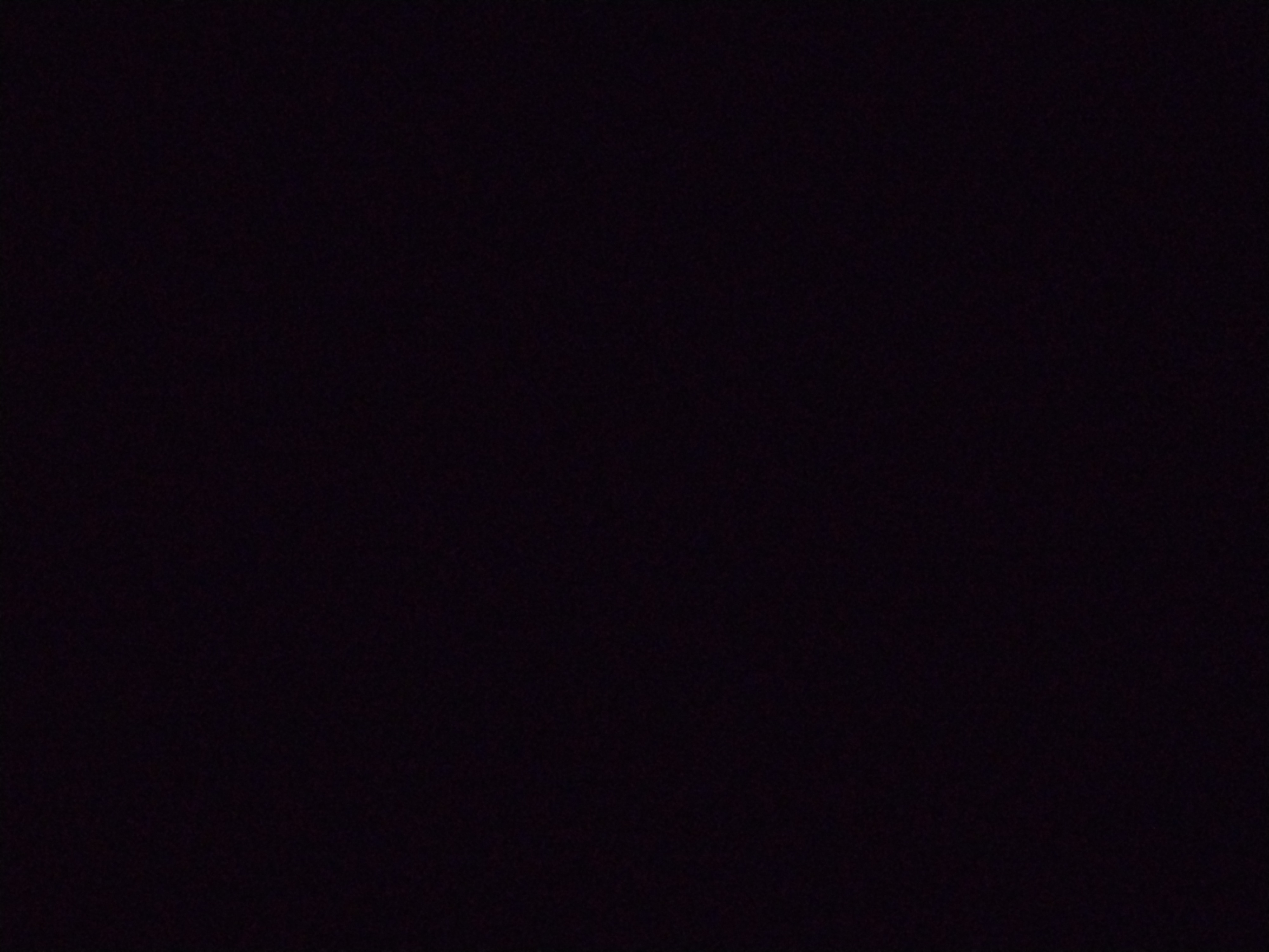 Looki L1 photo