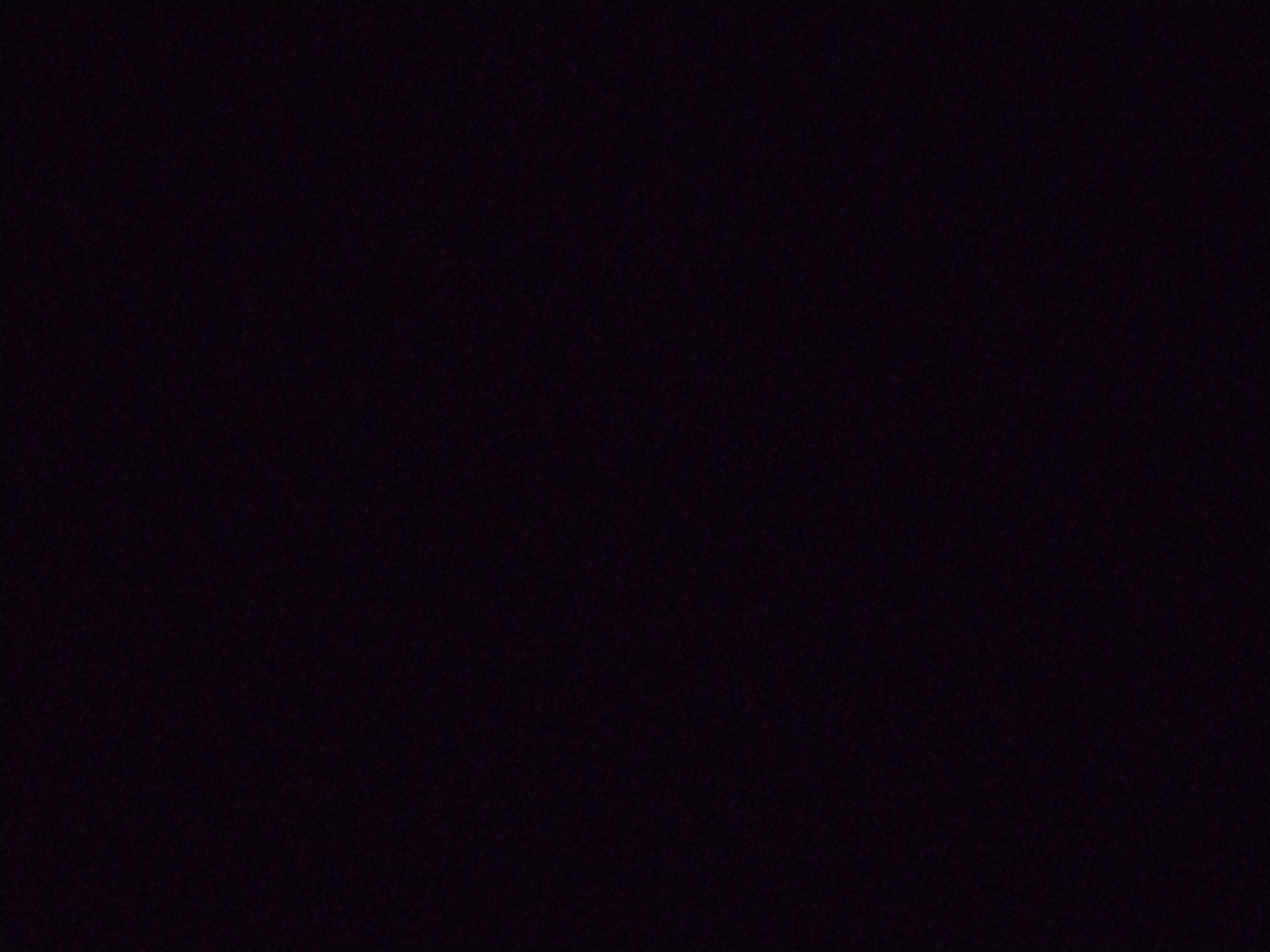 Looki L1 photo