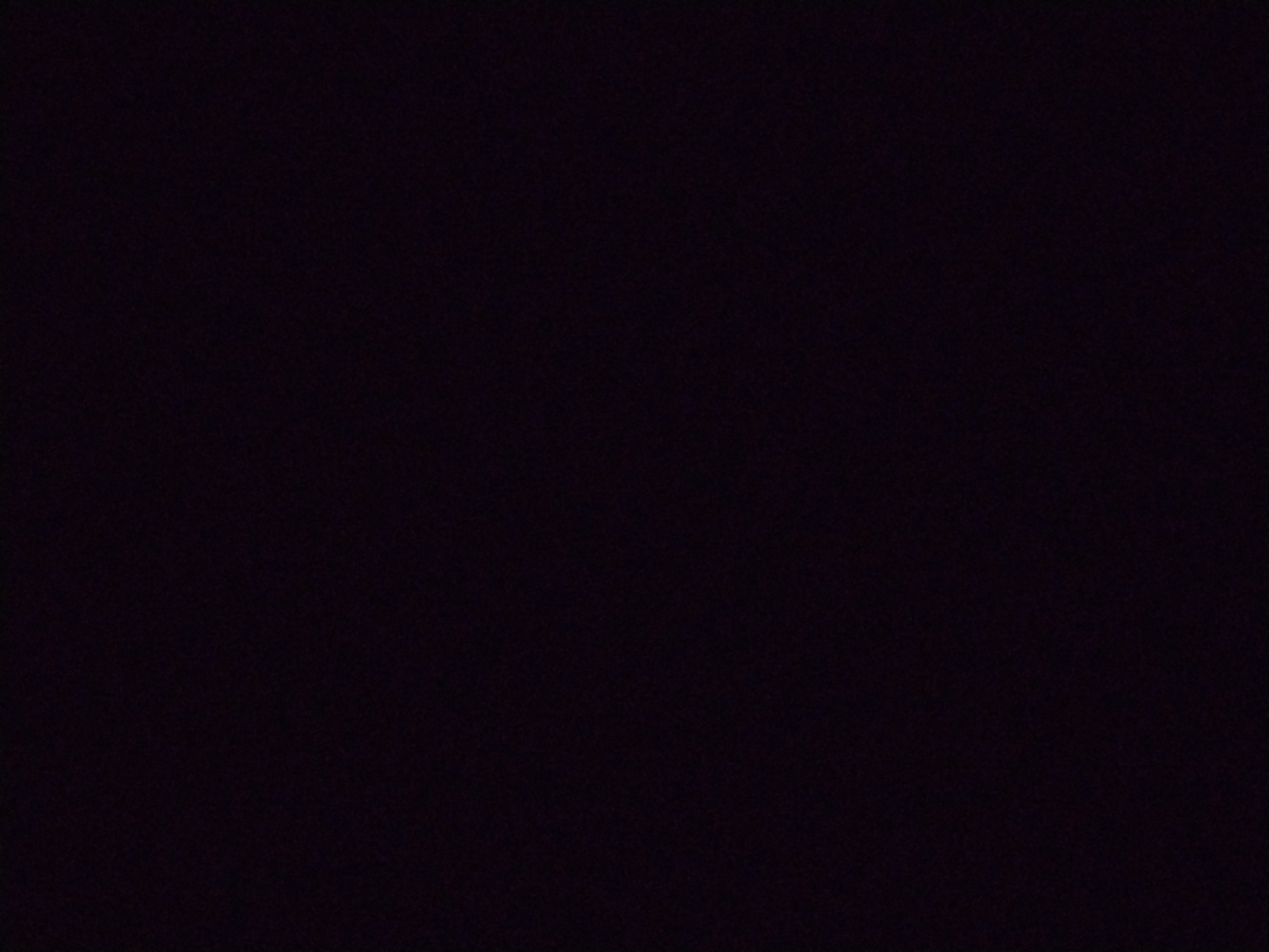 Looki L1 photo