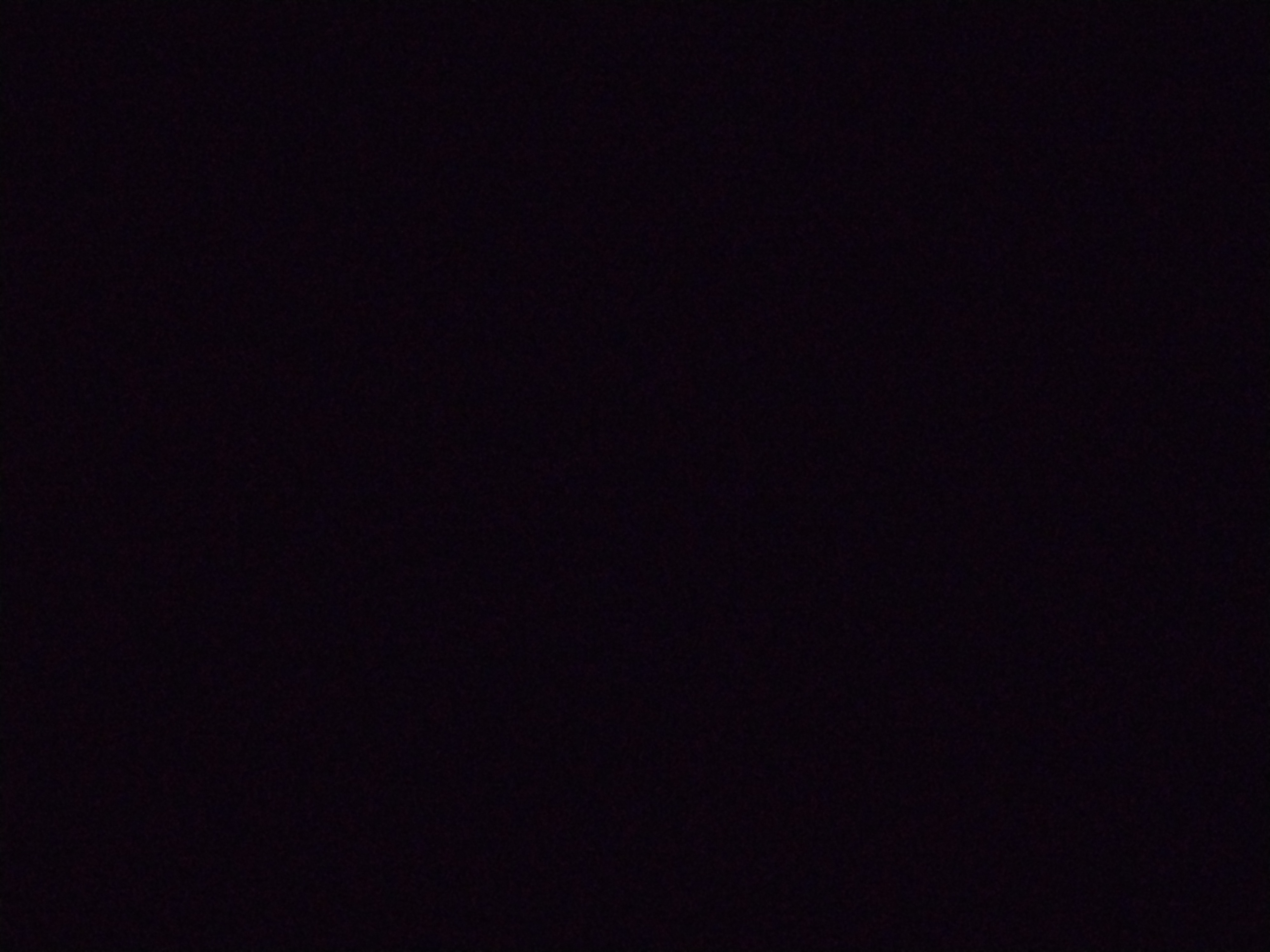 Looki L1 photo