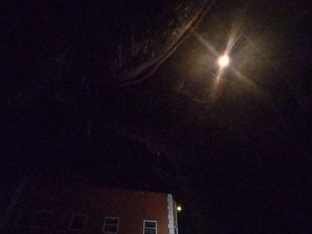 Looki L1 photo