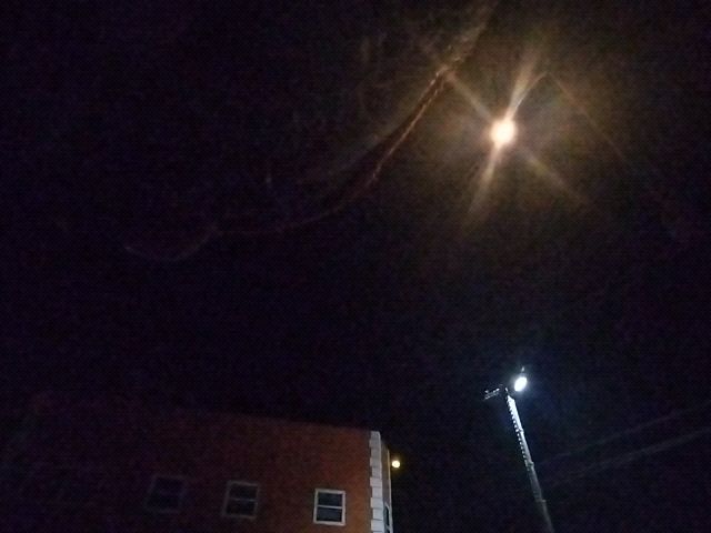 Looki L1 photo