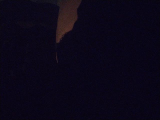 Looki L1 photo