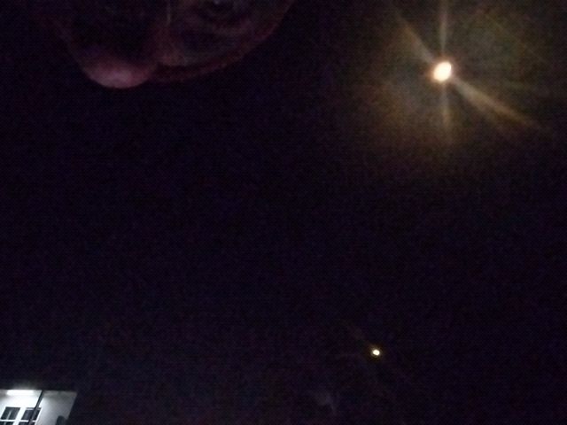 Looki L1 photo