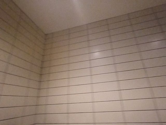 Looki L1 photo