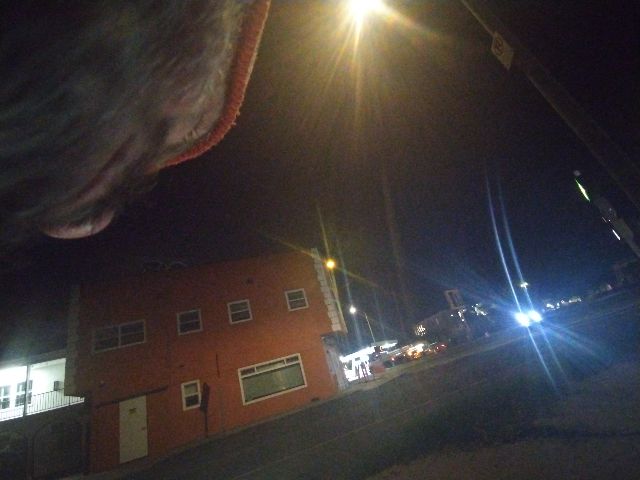 Looki L1 photo