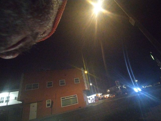 Looki L1 photo