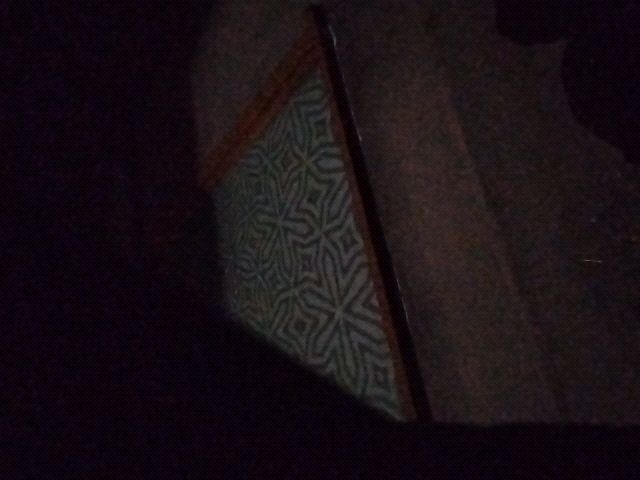 Looki L1 photo