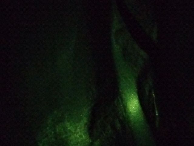 Late Night Silence