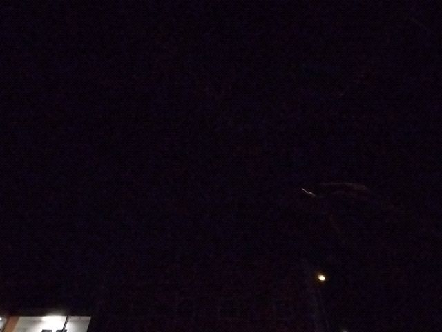 Looki L1 photo