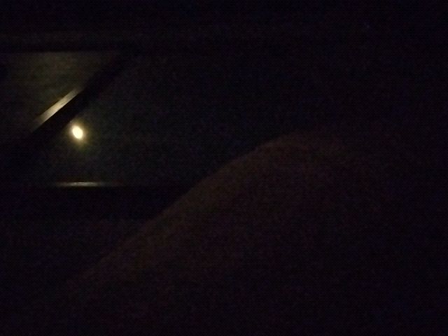 Looki L1 photo