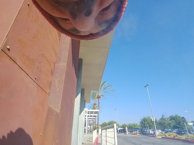 Looki L1 photo