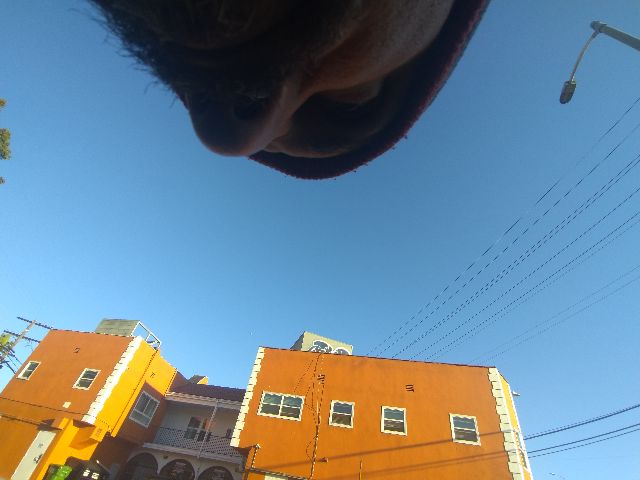 Looki L1 photo