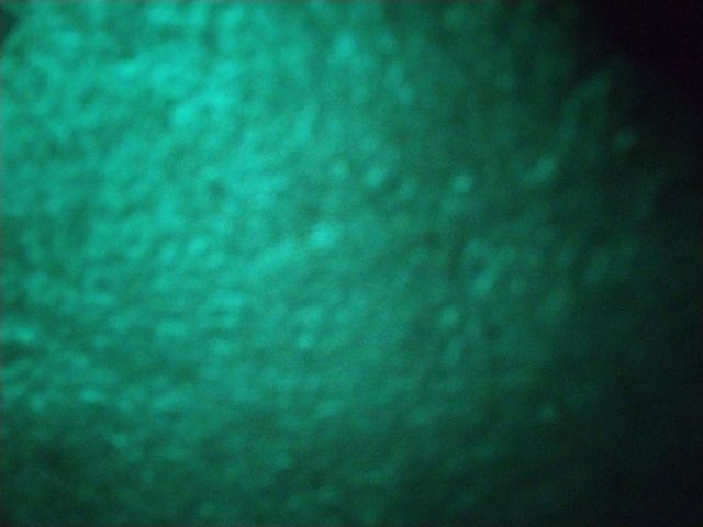 Looki L1 photo