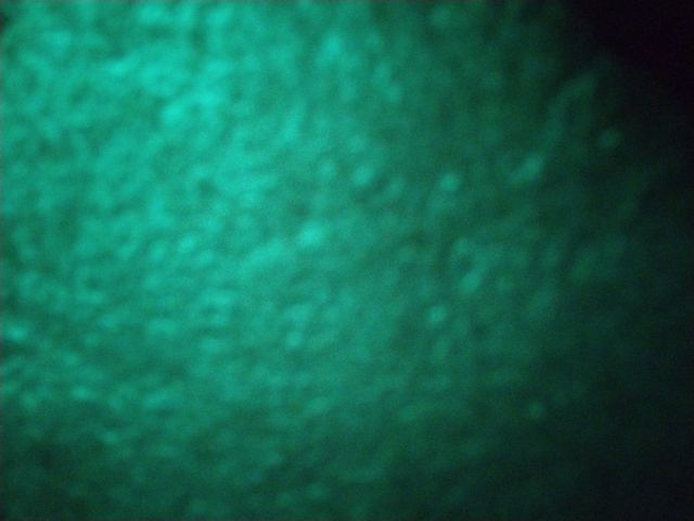 Looki L1 photo