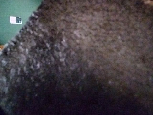 Looki L1 photo