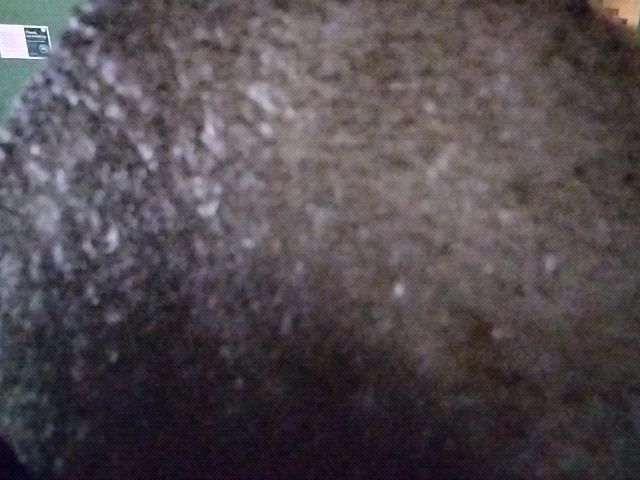 Looki L1 photo