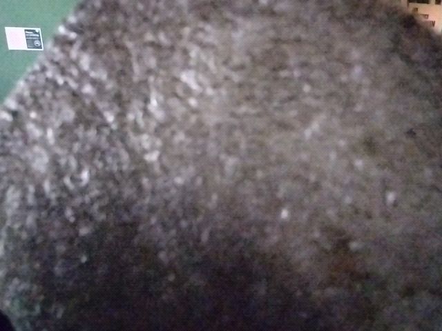 Looki L1 photo