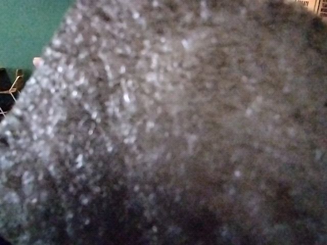 Looki L1 photo