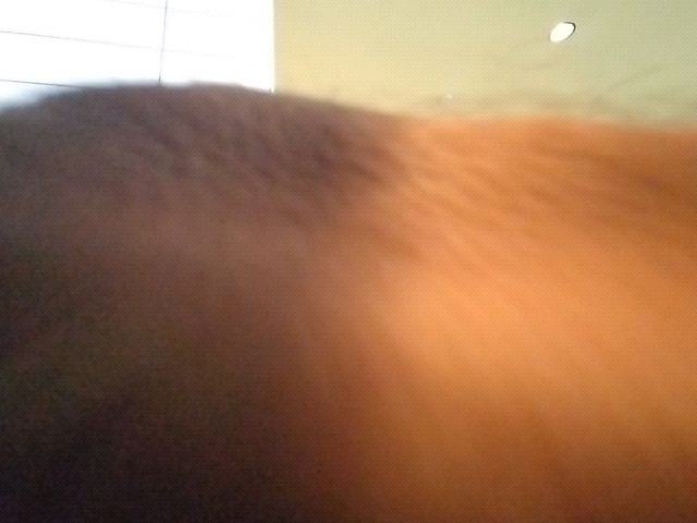 Looki L1 photo