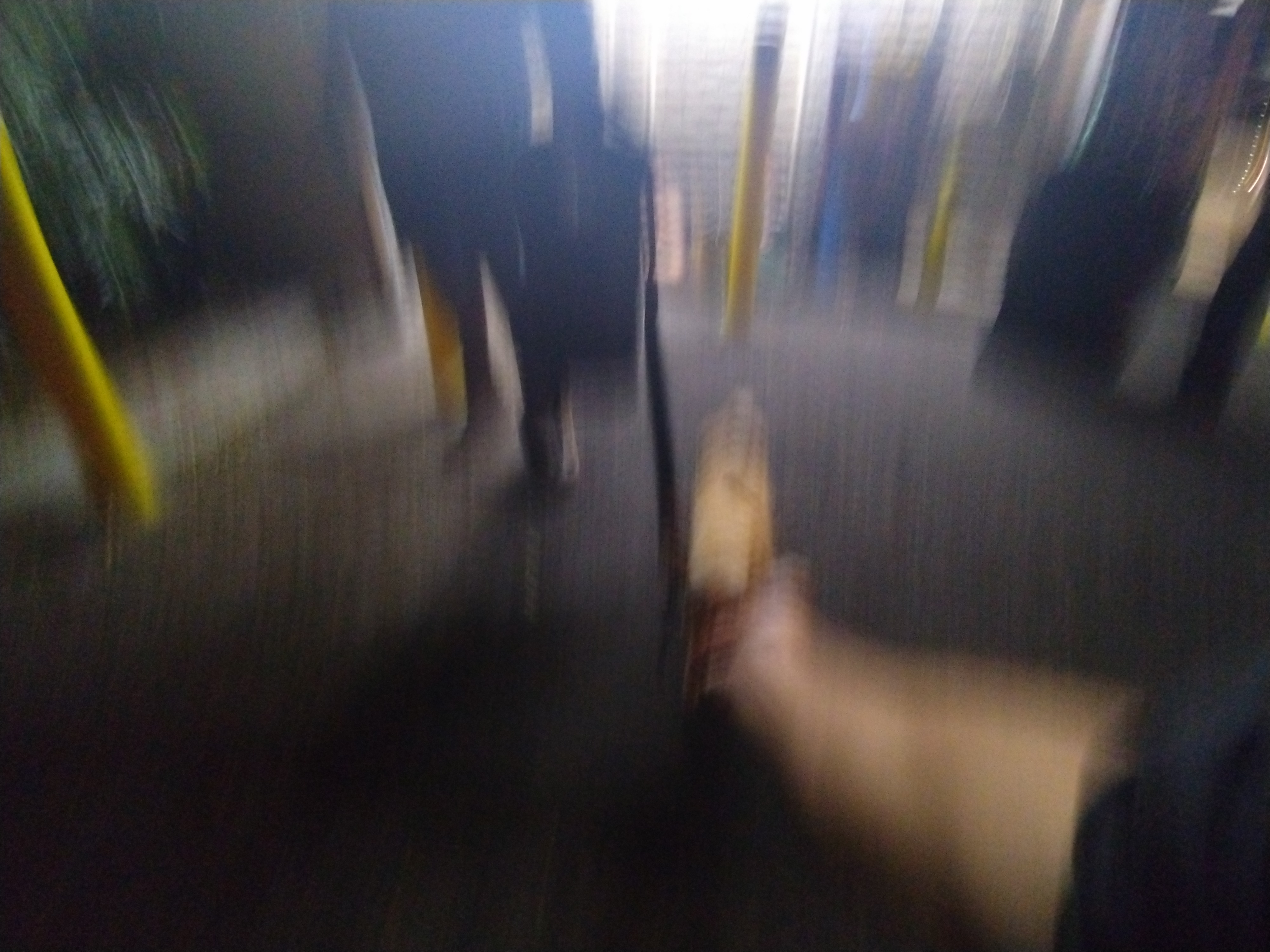 A Rhythmic Walk Through the Neon City