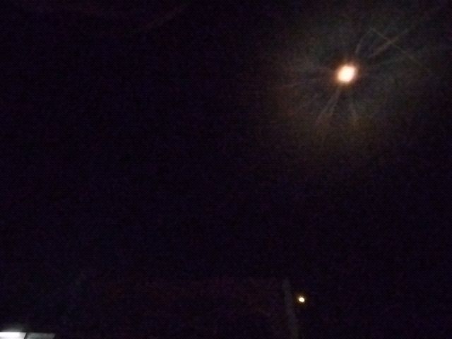 Looki L1 photo