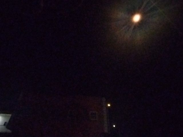 Looki L1 photo