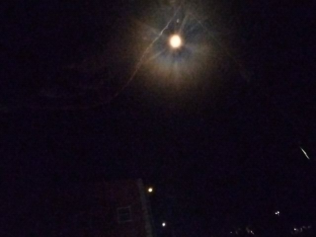 Looki L1 photo