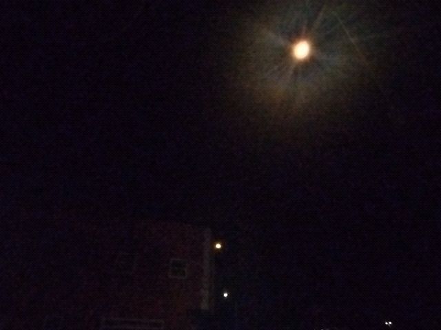 Looki L1 photo